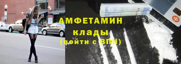 индика Кропоткин