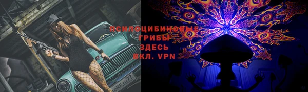 мяу мяу мука Михайловка