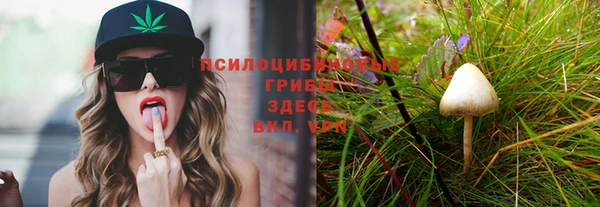 apvp Михайлов