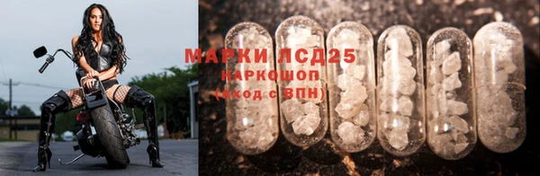 гидра Мегион