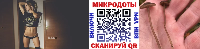 купить наркотики сайты  маркетплейс как зайти  Галлюциногенные грибы GOLDEN TEACHER  Невельск 